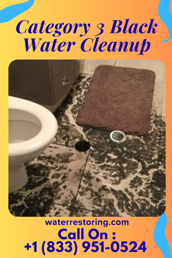 Category 3 Black Water Cleanup in Fayetteville, NY