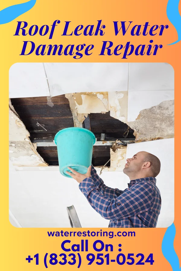 Roof Leak Water Damage Repair in Fayetteville, NY