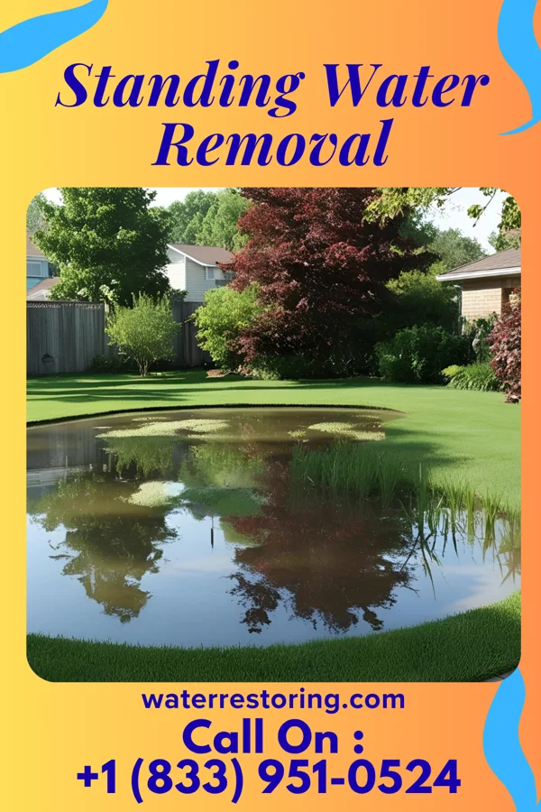 Standing Water Removal in Fayetteville, NY
